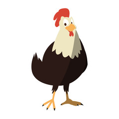 Chicken cartoon icon. Animal farm nature rural and creature theme. Isolated design. Vector illustration