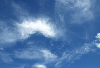 Fototapeta premium blue sky