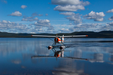 Dehavilland Beaver © Dennis