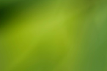 Abstract green background