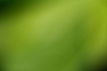 Abstract green background
