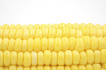 Corn close up on white background