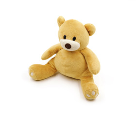 Bear doll on white background