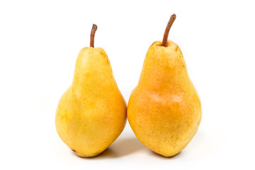 Two ripe pears isolated on white background