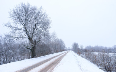 Vanishing snow-covered straight dirt road on earthfill between frozen rivers at dusk. Novgorodsky region, Russia 
