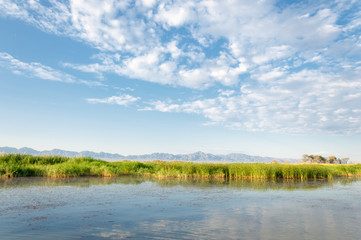 steppe summer. Turgai save. Lake in the desert