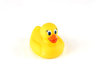 yellow rubber toy duck isolated on white background