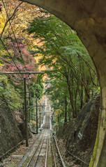 Plakat 高尾山の秋風景2016