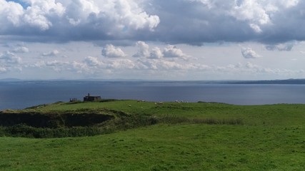 Obraz premium Contrasti