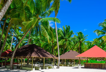 hut covered with palm leaves