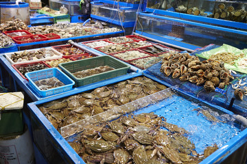 Fish market in South Korea