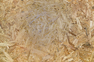 Plywood use for Background and Texture