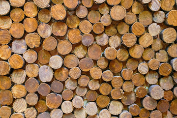 Fototapeta premium Natural look Wood Panel Background