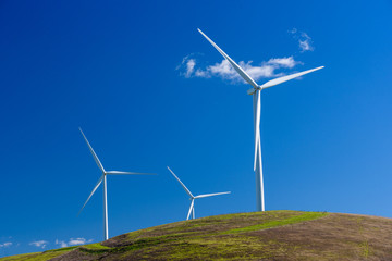 Wind turbine with 3 blades in a field of grass