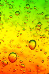 colorful background © Maksim Shebeko