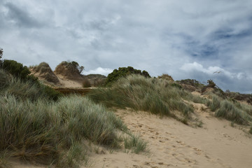Sand dunes