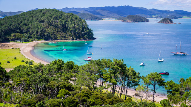 View on Bay of Islands New Zealand