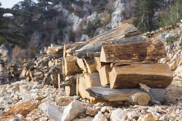 Fototapeta premium Firewood.