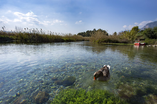 T&uuml;rkiye Muğla Akyaka