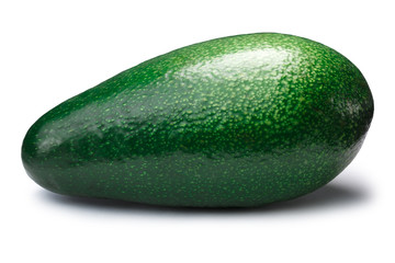 Whole avocado fuerte (Persea americana), paths