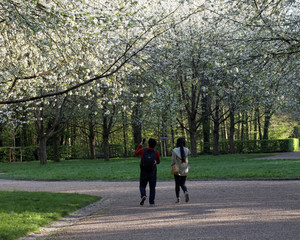 Naklejka premium Parc de sceaux