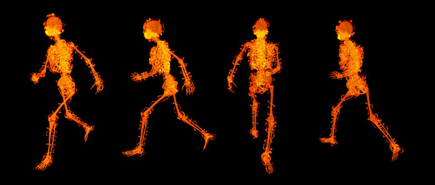 3d render walking  skeleton by X-rays in red
