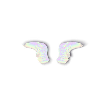перламутровые крылья на белом фоне, векторная иллюстрация