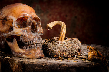 Human skull on old wood background, still life