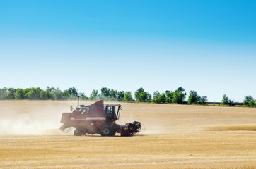 Combine harvester in the field. Harvesting