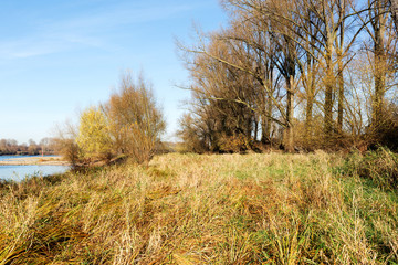 River Rhine Dunes at Monheim / Germany