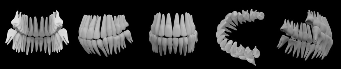 3d image of white teeth isolated on black