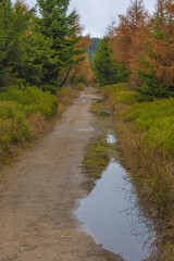 Trail in Polish part of Jizera Mountains - autumn