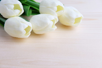Obraz na płótnie Canvas White tulip.