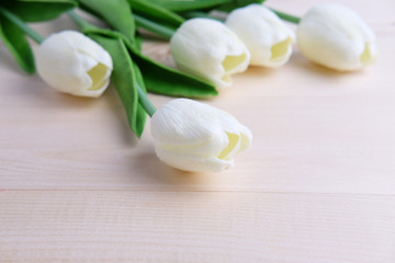 Obraz na płótnie Canvas White tulip.