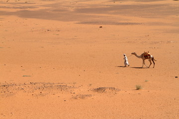Karawane in der Sahara vom Sudan bei Meroe 