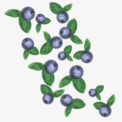 Blueberies