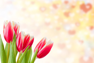 Valentines Day Background with Tulips