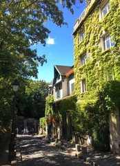 PARIS, FRANCE - AUGUST 7, 2016 : beautiful street with trees and plants during summer in the Montmartre district in Paris