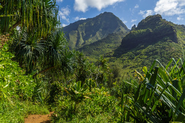 Fototapeta na wymiar Steep mountains and jungle on the Kalalau trail, Kauai, Hawaii.