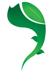 The proliferation of beautiful leaves on a white background.