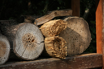 Insektenhotel