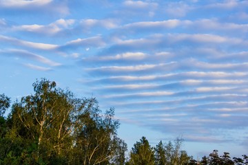 Fototapeta premium white stripes in the blue sky