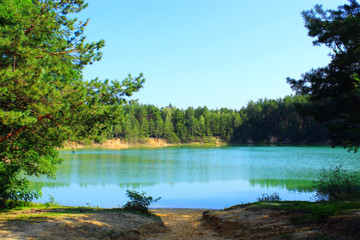 beautiful lake in the forest