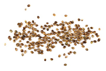 Hemp seeds isolated on white background