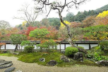 Obraz premium 秋色の庭園