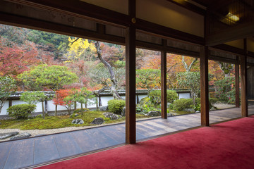 Fototapeta na wymiar 室内から見る秋の庭園