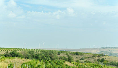Eolian field and wind turbines farm, countryside with green hill