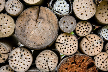 Obraz premium Insektennisthilfen