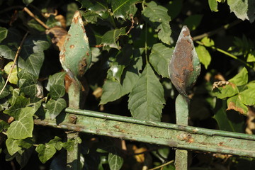 Alter verwitterter  Gartenzaun aus Gußeisen