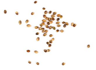 Hemp seeds isolated on white background
